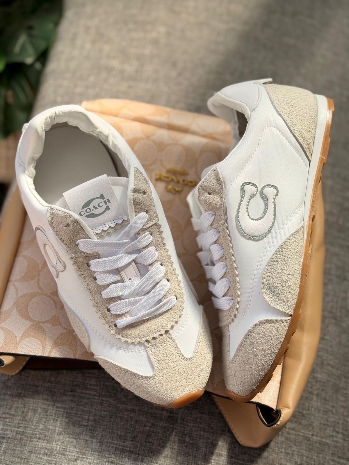 Coach 4