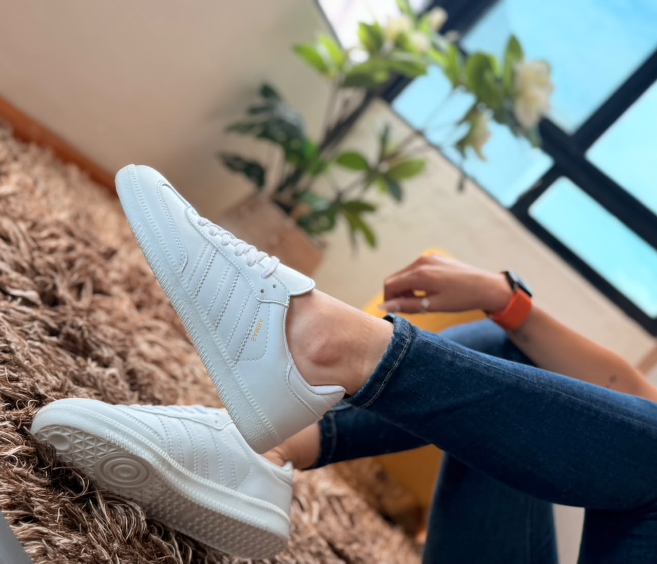 Samba 🤍 2